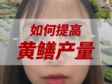 黄鳝高产,我只做对了一件事!#黄鳝 #黄鳝养殖 #流量扶持 #水产养殖 #三农养殖