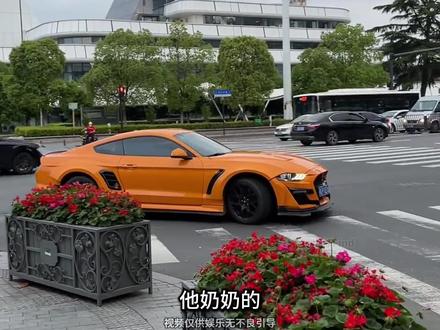 我说大街上怎么这么多#福特野马