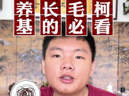 养柯基的必看#长毛柯基有尾巴 #柯基基因有多强 #柯基小短腿