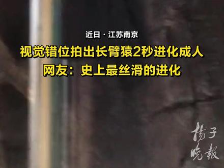 视觉错位拍出长臂猿2秒“进化”成人(来源:@柚子也叫pomelo)