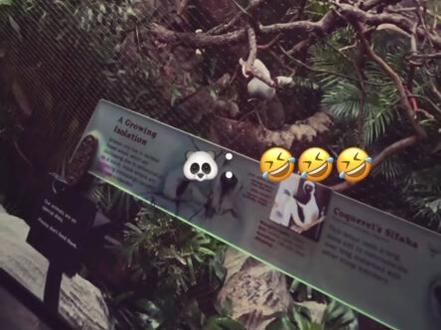 恶人夫夫🤣这是什么新型秀恩爱方式吗#pondphuwin #小面包普明 #他泰女孩 #小面包 #陈普明