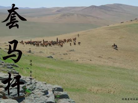 怀旧金曲《套马杆》好听极了,一开口就醉了,唱出了辽阔的草原!