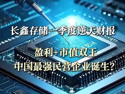 中国最强民营企业诞生?#长鑫存储 #财报 #A股