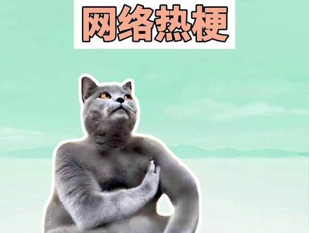 盘点近期网络热梗:拔罐猫、人类一败涂地 #拔罐猫 #猫咪 #猎奇 #抽象 #梗