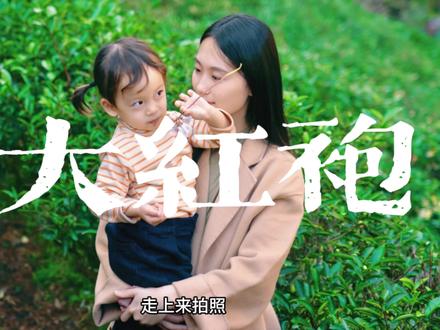 武夷山大红袍旅游攻略大红袍名字的由来现在武夷山的大红袍母树是真的还是假的#武夷山 #茶园风光 #武夷山大红袍 #大红袍母树 #武夷山旅游攻略