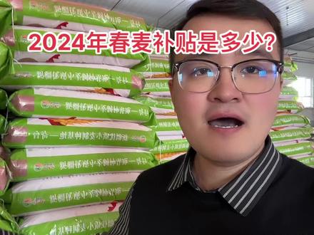 2024年小麦补贴是多少?#三农 #抖音助农 #小陶说农业 #新春44 #种收农业