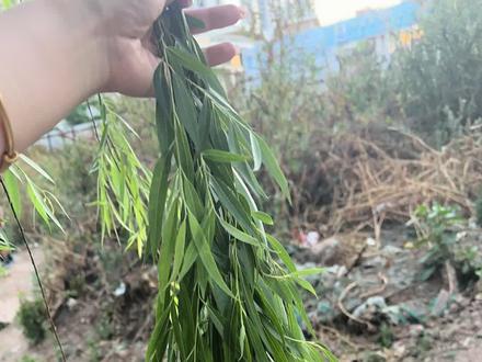 超实用净宅小教程,亲测有效#净宅#飘