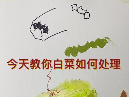 满满干货系列~白菜的画法##画画 #美术生 #艺术 #色彩静物 #艺考 #原创 #色彩