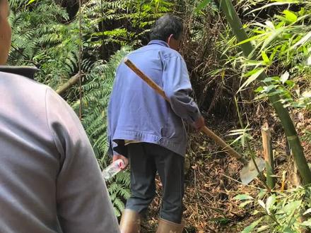 广西人怎样过清明节#祖宗你在哪