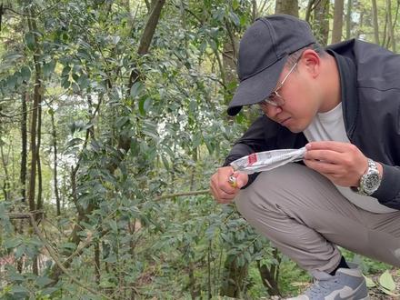 清明节期间尽量不要使用明火,采用鲜花等文明祭祀方式#清明节