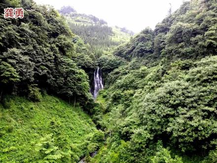 滇北秘境!镇雄杉木沟:藏在群山里的20°C清凉瀑布群 在云南昭通镇雄县碗厂镇庆坝村的群山深处,藏着一处鲜为人知的清凉秘境 —— 杉木沟瀑布群。这里距镇雄县城 60 余公里,驱车一小时,便能挣脱城市的喧嚣裹挟,闯入一幅山清水秀的天然画卷。 作为白水江支流的源头水系,杉木沟的溪流纵横交错,泉水未染尘嚣,澄澈得能映见云影,掬一捧入口,甘冽清甜直沁心脾。瀑布群是大自然的神来之笔,形态各异却各有风情:有的如白练垂空,从崖壁间倾泻而下,声势浩大;有的似碎玉飞溅,水珠在阳光下发亮,珠玑乱跳;或轻盈婉约,如轻纱薄雾随风飘拂;或气势磅礴,激流撞击崖壁的轰鸣震耳欲聋。水流撞向青石的瞬间,万千晶莹水花腾空而起,弥漫的水雾漫过眉梢,带着草木的清香,盛夏的燥热瞬间被涤荡殆尽。 环绕瀑布群的是漫山苍翠,古木参天蔽日,溪涧潺潺流淌,鸟鸣清脆悦耳,动静之间尽显灵动。更难得的是,这里夏季日均气温不超 20℃,空气清新湿润,负氧离子含量充沛,深吸一口,满是山林的纯净气息,是远离酷暑、清肺养心的理想之地。 杉木沟瀑布群天生丽质,曾如深锁闺房的少女般不为人知。近年来,凭借网络视频的传播,这座藏在深山里的瀑布群意外走红全网,吸引着八方游客慕名而来。在这里,既能沉醉于山水清欢,看瀑布飞泻、听溪鸟和鸣;又能邂逅人间暖意,与陌生游客共话清凉。如今,杉木沟瀑布群正以它独有的原生态魅力,成为滇北夏日里最动人的风景,让每一位到访者都能在青山绿水间,寻得一份久违的宁静与清凉。