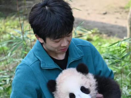 被小月亮萌化了!🤍 小奶哥抱着熊猫宝宝的治愈瞬间来啦~🐼 谁能拒绝这份毛茸茸的可爱暴击?👇库存#重庆动物园#大熊猫小月亮#一方水土养一方熊猫#大熊猫良月崽#被你萌化了