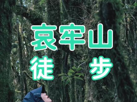 哀牢山徒步,5天4晚实拍vlog攻略! #哀牢山徒步 #哀牢山 #元阳梯田 #徒步路线推荐 #云南徒步