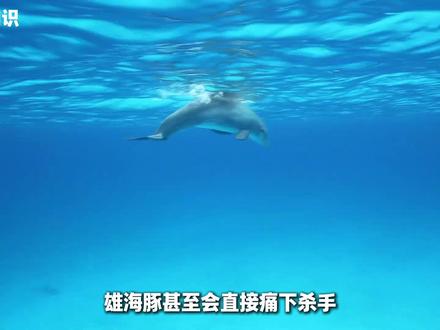 有哪些看起来可爱,但实际很难惹的动物? #科普 #动物 #青年创作者成长计划