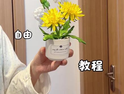 用扭扭棒做,自由勇敢坚强希望的,蒲公英小盆栽,教程嘎嘎简单,快艾特你心灵手巧的朋友给你做#宝藏生活家企划 #手工大神请支招 #真实生活分享计划 #青年创作者成长计划 #蒲公英