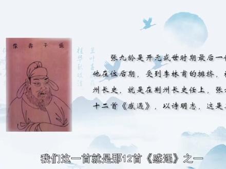 张九龄的《感遇》在以诗明志 #诗词 #蒙曼 #传统文化