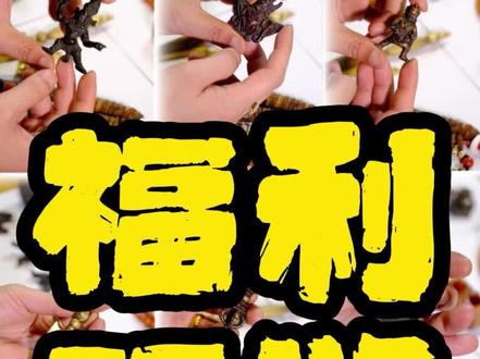 福利拍场预览 26日……周二晚~
#六子出品 #锦绣55108 #藏传 #藏传文玩 #藏传元素