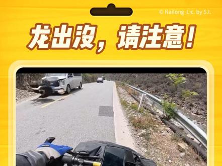 此生必驾318,撞头牦牛三万八,兄弟们自驾318,安全第一! #摩托车过弯 #318川藏线骑行 #摩托穿越318 #撞牦牛#安全驾驶