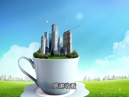 TikTok系列之电商竞价 #tiktok跨境电商
