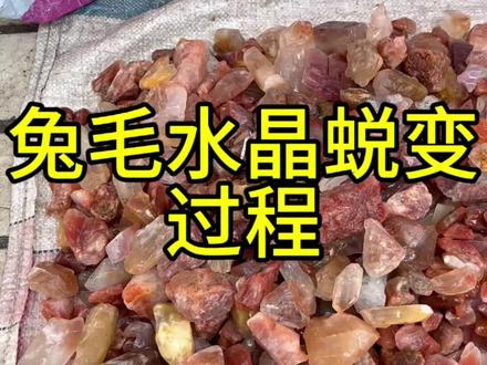 听说最近兔毛水晶#天然水晶 #兔毛水晶 #水晶