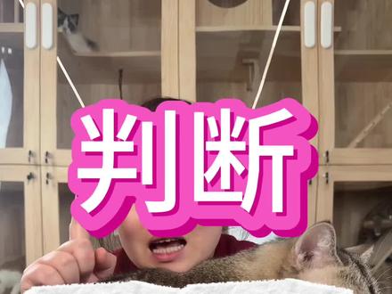 怎么还有人不知道怎么判断猫是否是尿闭!抓紧看过来#科普一下 #猫咪 #经验分享 #干货分享 #知识分享