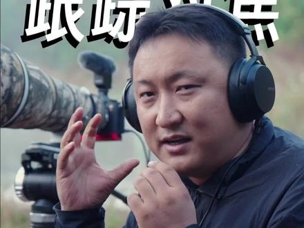 索尼拍鸟视频教学:触碰跟踪,无规则预判焦平面!#新手入门微单相机推荐 #我的摄影日记 #现场拍摄花絮