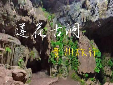 谁懂啊!在贵州安顺普定县挖到一座未过度开发的千年溶洞——莲花古洞,三洞连三天窗,丁达尔光柱倾泻而下,随手一拍都是盗墓笔记级大片,小众原始还免费,性价比直接拉满!
#贵州小众秘境 #溶洞探险 #小众旅行地 #周末去哪儿 #兴义周边游