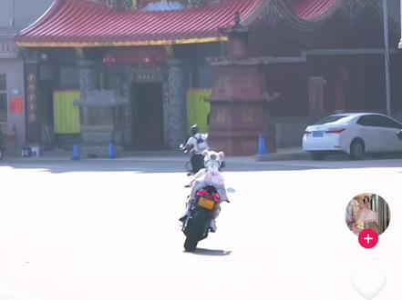迟早要笑死在评论区#网络迷惑行为 #你要的全拿走 #胡彦斌