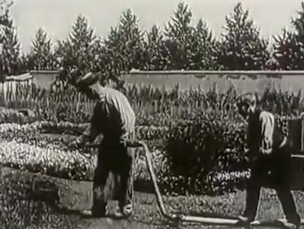 #艺术留学 #电影史 #片单 卢米埃尔的短片都要看🧐