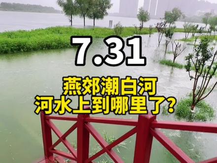 燕郊潮白河,河水涨到哪里了?#燕郊 #燕郊暴雨 #潮白河 #燕郊房产#环京楼市