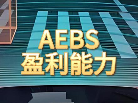 AEBS,盈利最强的10家企业 #AEBS #盈利能力