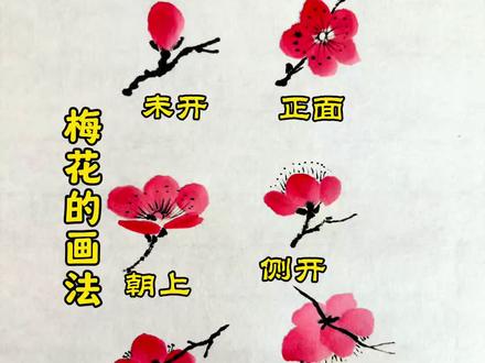 梅花的画法 #国画教程 #梅花的画法 #国画 @抖音小助手#百young非遗计划 #非遗祈福百景图