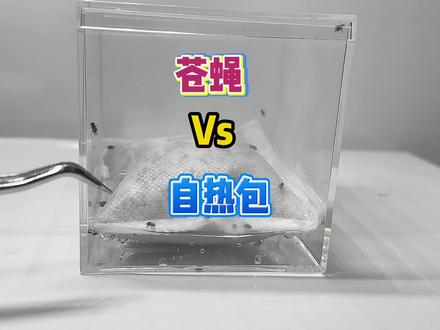 苍蝇:这怎么突然这么热啊#苍蝇 #趣味实验