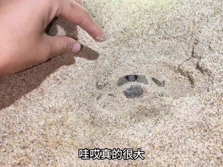 秋天的第一碗沙蟹粥!暖暖的很贴心🤣🤣🤣#夜里追风