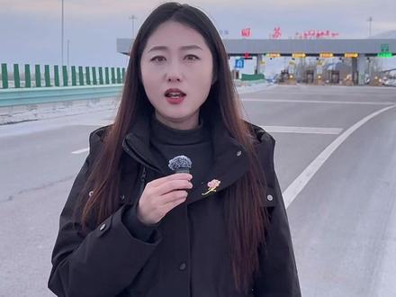 山海共证 "娇龙"月季回家了 跨越万里的奔赴,若为热爱,便所向披靡!#贺娇龙 #娇龙月季 #昭苏