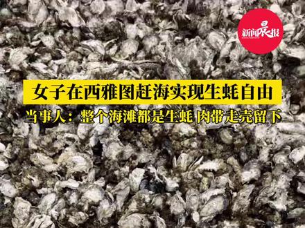 (自采原创)女子在西雅图赶海实现生蚝自由,当事人:整个海滩都是生蚝,肉可以带走壳要留下让它再生(素材来源:@肉多多 )#户外赶海抓海鲜 #生蚝🦪 #大海的馈赠 #海鲜美食 #海滩 @DOU+小助手