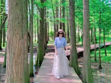 #邵东 春天的水杉林别有一番意境,朋友们快来打卡👒#红树林风景区