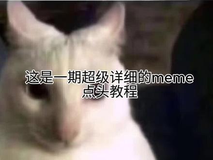 #meme教程 我真的是燃尽了不懂的可以问