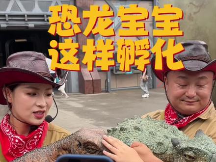 在常州,这样孵化和养育恐龙宝宝!#恐龙园堪称恐龙培育基地#苏超