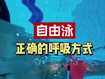 自由泳换气轻松、不呛水的呼吸技巧#自由泳 #自由泳教学 #游泳 #学游泳 #内容启发搜索 @DOU+上热门 @DOU+小助手 @抖音创作小助手 @抖音小助手 @抖音