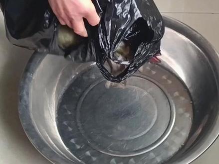 单眼皮和老爸一起腌制徽州名菜臭鳜鱼,绝对是徽州美食的名片#臭鳜鱼 #美食教程 #美食推荐官 #抖音小助手