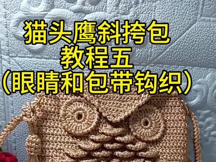 猫头鹰斜挎包(眼睛包带钩织#我的手工作品 )