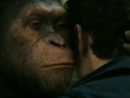 人类起源非洲?快别逗了,我信你个鬼!#文化自信 #知识前沿派对