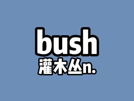 学吧,不要小看任何一个简单单词 #英语 #零基础英语