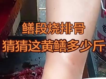 黄鳝富含多种维生素和矿物质,对新陈代谢、免疫功能、骨骼健康、滋阴补肾起到很好的作用。#美食#创作灵感