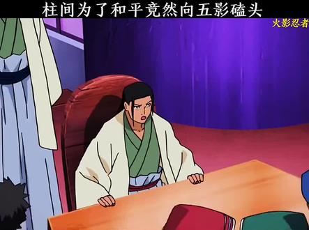 第一次五影会谈#火影忍者 #动漫 #二次元