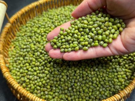 无论煮绿豆还是红豆,煮前多加一步,1分钟全开花,粒粒软烂出沙