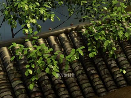 恭喜你,你成功的复刻了古代的两大黑科技! #百young非遗计划 #科普 #传统文化 #硝石制冰 #非遗