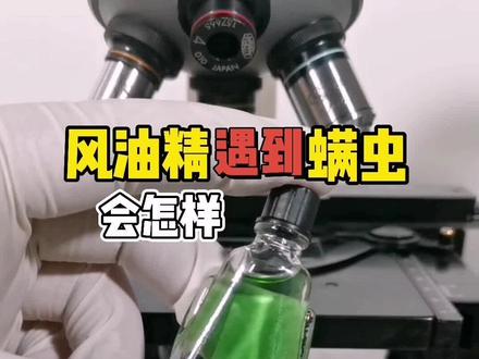 风油精遇上#螨虫 会发生什么
