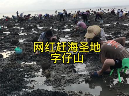 千人赶海场,人人都有收获#赶海生活 #大海的馈赠